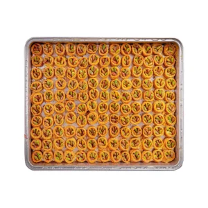 Fıstıklı Bülbül Yuvası (KG)